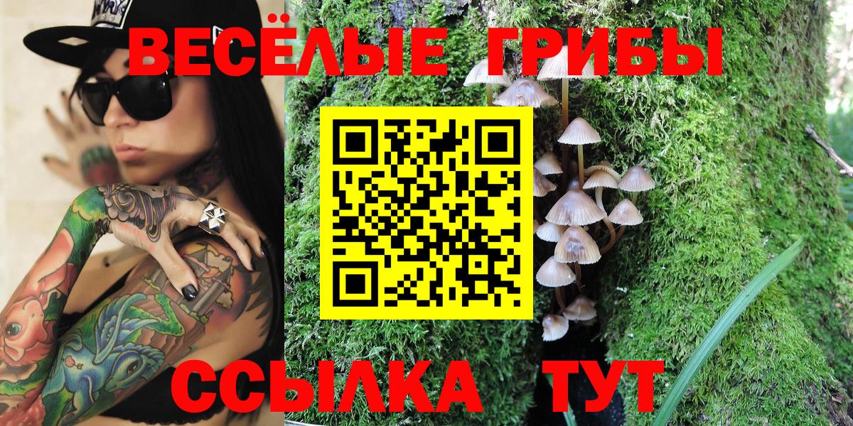 Псилоцибиновые грибы ЛСД  Вход с VPN  Курган 